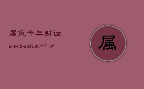 属兔今年财运如何2023,属兔今年的财运