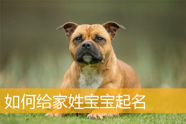 如何给家姓宝宝起名