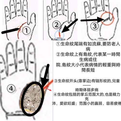 说到看手相,不需要去路边那些交钱听忽悠的这里了解就可以