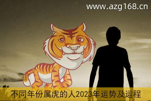 属虎2023年运势及运程详解 2023年属虎人的全年每月运势_祥安阁风水网