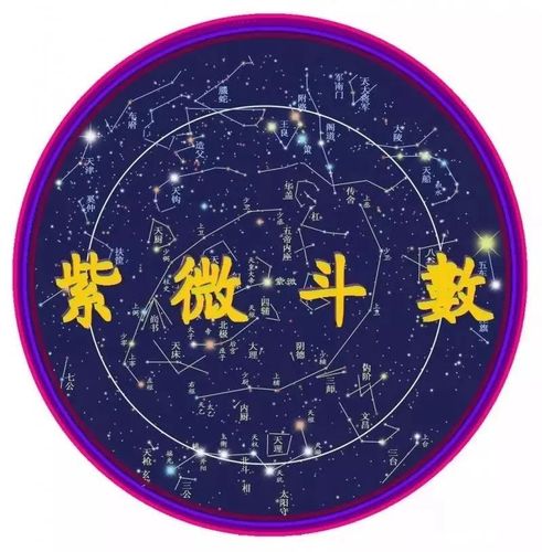 紫微斗数贪狼星入命宫身宫代表什么