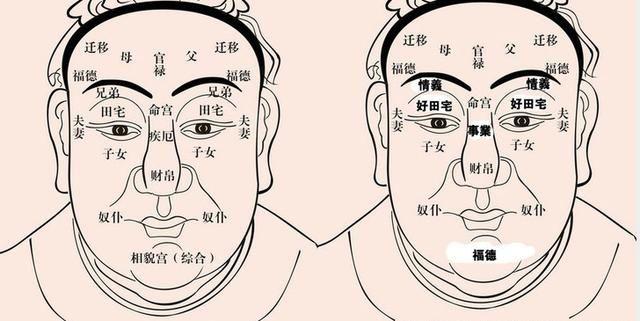 闻道国学:面相十二宫:你的宫位吉凶如何