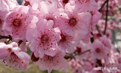 8月16日-8月24日,钱财大赚,桃花运红火盛开的3大生肖