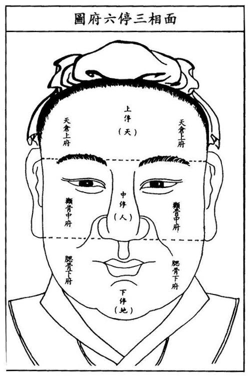 面相基础知识三停四渎五岳六府的部位吉凶论