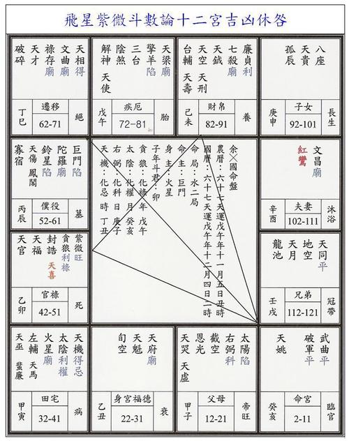 求教紫微斗数入门应看哪本书新手入门看林庚入门书推荐