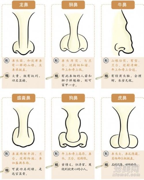 在面相学中,鼻子面相在五官中代表着财库,鼻型正,鼻头有肉,鼻翼丰隆