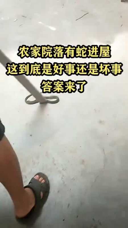 蛇进屋是凶还是吉_蛇进屋预示什么