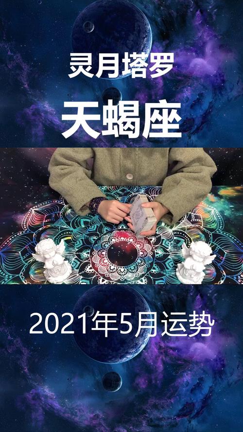 天蝎座全年运势_天蝎下周运势_2023年星座天蝎运势详解天蝎