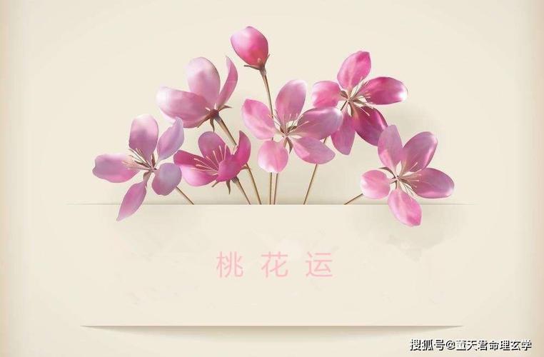 何为桃花运也许你并不知道结了婚还能求桃花运吗