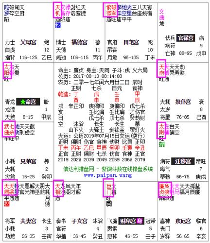 紫微斗数十四主星有哪些