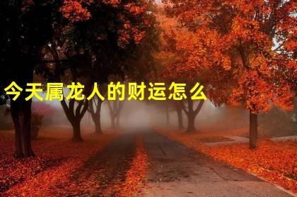 今天属龙人的财运怎么样