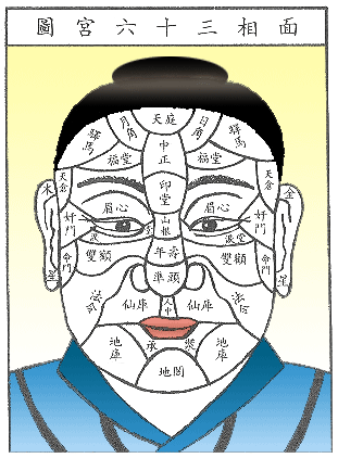 面相十三部位的具体分布