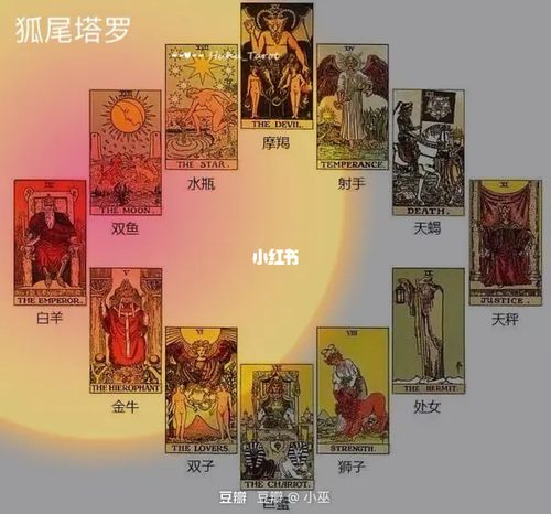 97塔罗牌一共78张,所以当你远程让塔罗师占卜的时候,塔罗师会让你从