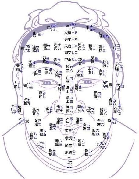 公笃相法〕面相部位及流年运限